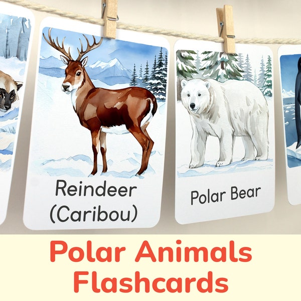 Polar Animals Flashcards: Toddler Preschool Kindergarten Printable Flash Cards. Homeschool Educational Activity, Classroom Learning Material