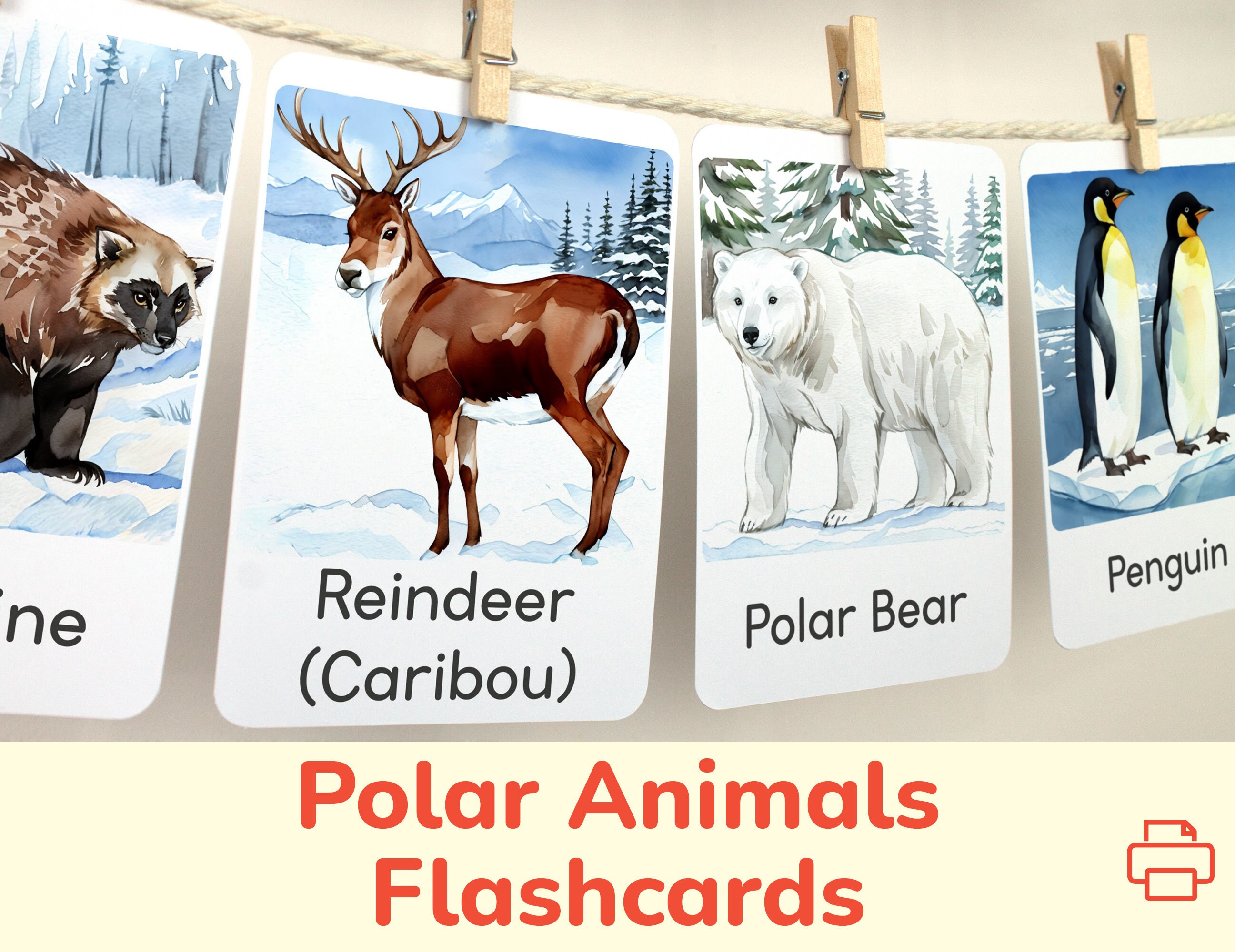 14 FREE Arctic animals Flashcards, PDF