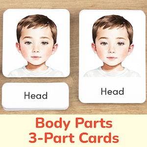 Körperteile 3-teilige Karten, Jungenversion. Körperidentifikation Lernaktivität. Anatomisches Lernmittel für Homeschool, Klassenzimmer.