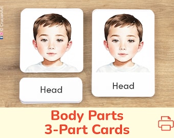 Body Parts 3-Part Cards, Boy Version. Body Identification Printable Learning Activity. Anatomy Education Resource for Homeschool, Classroom.