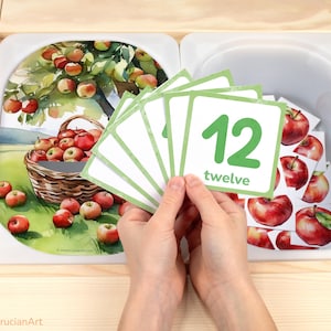 Apple tree theme sensory table insert for preschoolers. Fall harvest counting activity for kids in the classroom.