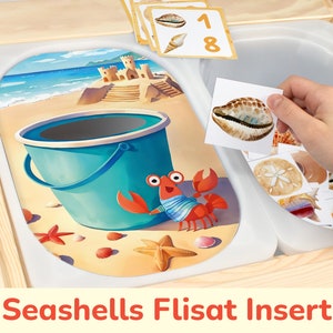 Seashells Flisat Insert: Sort and Count to 12 Summer Beach Printable Activity for Sensory Table Bins. Toddler, Preschool Insert Template.