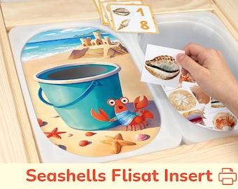 Seashells Flisat Insert: Sort and Count to 12 Summer Beach Printable ...