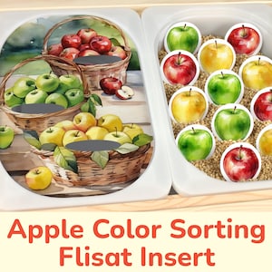 Apple Color Sorting Flisat Insert: Printable Learning Activity for Sensory Table Bins. Toddler, Preschool Fall Educational Insert Template.