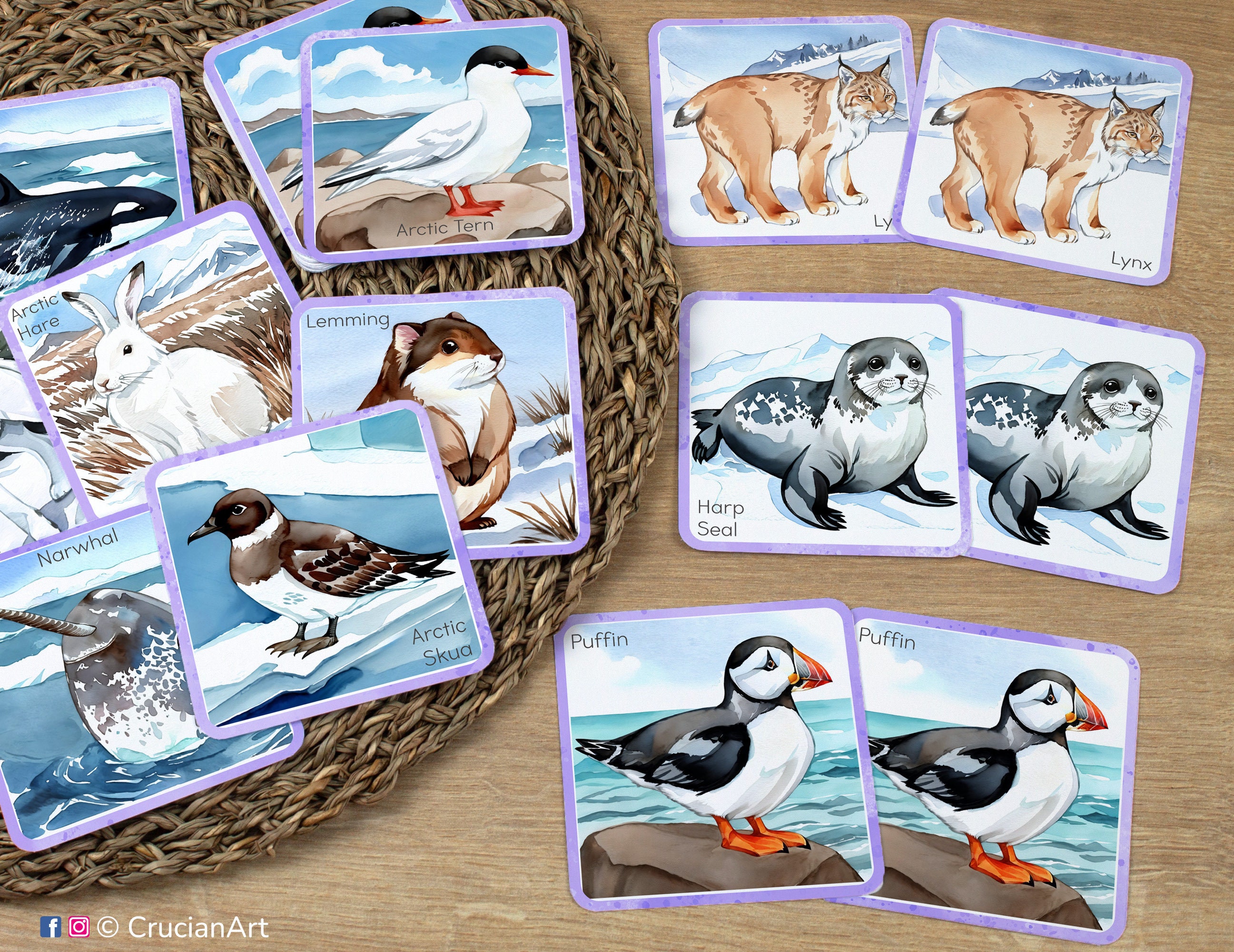 Polar Animals Memory Game: Printable Toddler Preschool Kindergarten ...