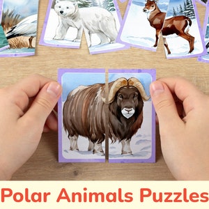 Pares de rompecabezas de animales polares: tarjetas de combinaciones imprimibles para niños pequeños. Actividad de aprendizaje preescolar, imprimibles de educación en el hogar, recurso educativo.
