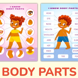 African American Body Parts and Face Parts Printable Activity. Human Body Learning Worksheet for Toddler, Preschool, Pre-K, Kindergarten