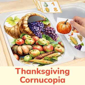 Thanksgiving Cornucopia Flisat Insert: Harvest Sort and Count Printable Activity for Trofast Sensory Table Bins. Toddler, Preschool Template