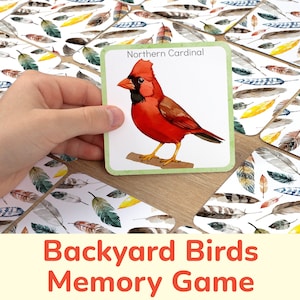 Jeu de mémoire sur les oiseaux de basse-cour d'Amérique du Nord : activité d'association imprimable. Développement du vocabulaire, discrimination visuelle, ressource d'apprentissage
