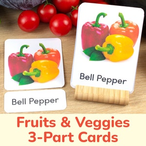 Fruits & Légumes Real Photo Cartes en 3 parties. Légumes Baies Activité d'association en trois parties Cartes flash imprimables Activités d'apprentissage préscolaire