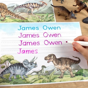May include: A printable worksheet featuring dinosaur illustrations. The worksheet has lines for writing the name "James Owen" multiple times. The name is written in pink and blue marker.