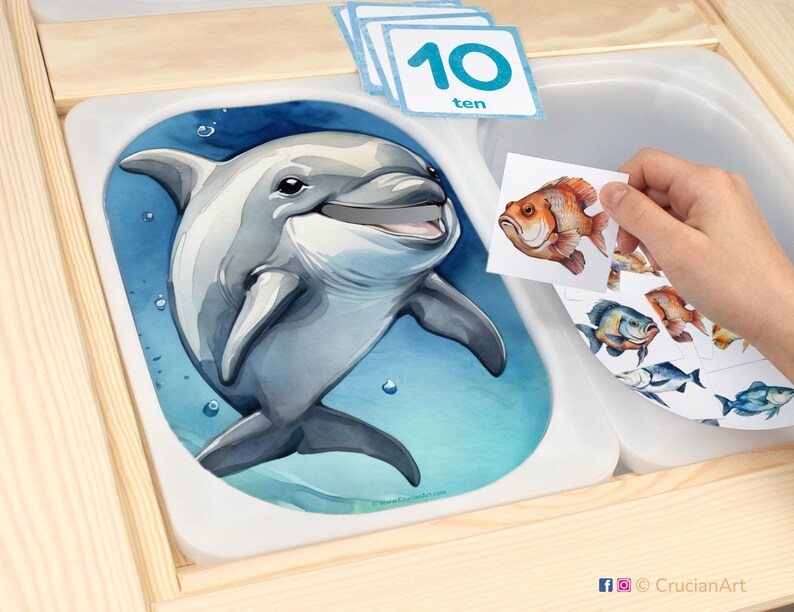 Feed the Dolphin Fish Flisat Insert: Counting up to 12 Ocean Printable ...