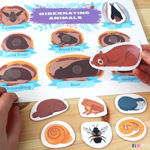 Animals That Hibernate: Hibernating Animal Silhouette Matching Activity; Printable Toddler, Preschool, Homeschooling Educational Resource.