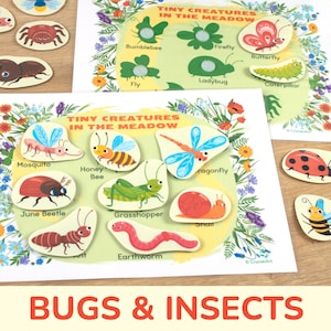Little Creatures: Bugs & Insects Shadow Matching Activitiy. Printable Toddler, Preschool Match Activities. Quiet Book and Busy Book Page.