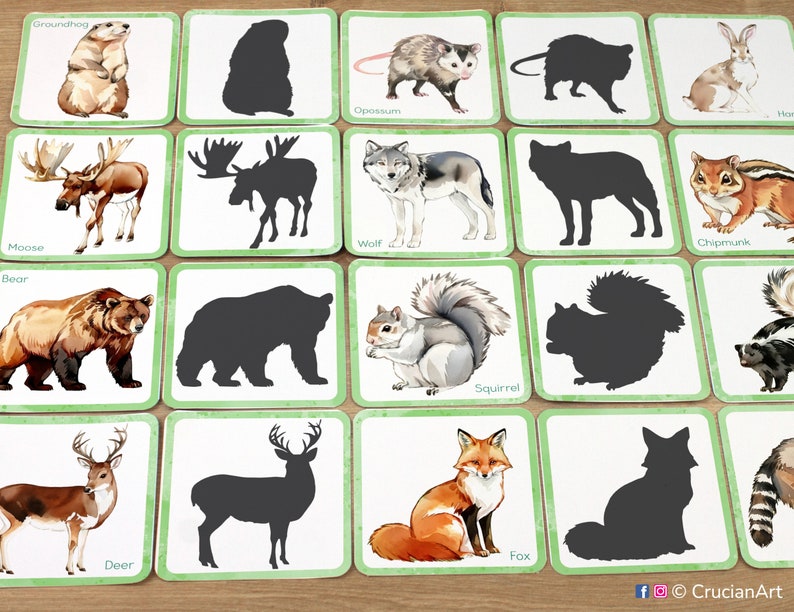 Set of Woodland Animals Shadow Match Cards: printable early learning activity for toddlers. Wildlife of the woods match cards. DIY nature unit preschool classroom educational resource, homeschooling printables. Forest creatures materials.