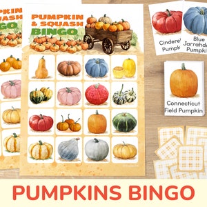 Pumpkins and Squashes Bingo Game: Printable Preschool, Kindergarten, Toddler Fall Activity. Classroom and Homeschooling Printables.