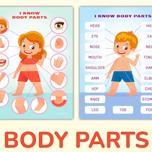 Body and Face Parts Printable Learning Pack for Toddler, Preschool, Pre K, Kindergarten. Human Body Activity Worksheets