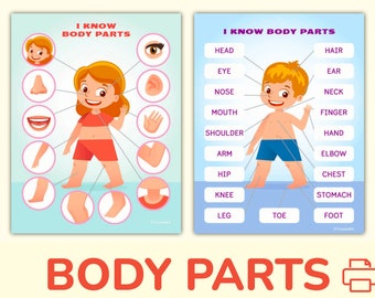 Body and Face Parts Printable Learning Pack for Toddler, Preschool, Pre K, Kindergarten. Human Body Activity Worksheets