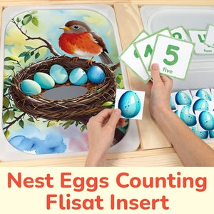 May include: A wooden toy with a bird and nest image, a set of blue egg shapes, and number cards with the numbers 1, 2, 4, 5, and 7. The cards also have the words "one", "two", "four", "five", and "seven" printed on them. The text "Nest Eggs Counting Flisat Insert" is printed below the image.