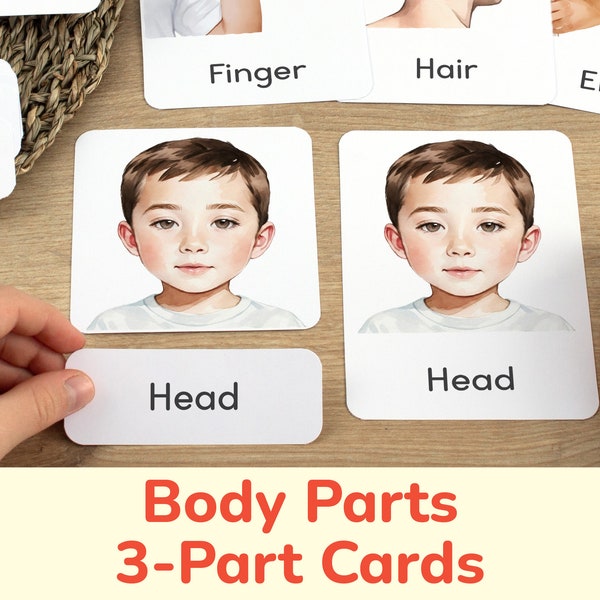 Boy and Girl Body Parts - Etsy