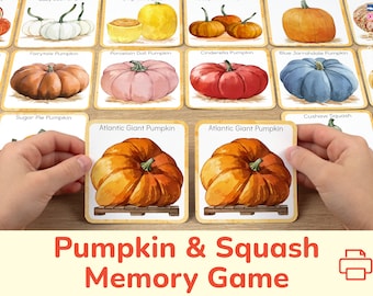 Kürbis & Squash Memory-Spiel: Passende Aktivität zum Ausdrucken. Herbstsaison Vokabular Aufbau, Visuelle Diskrimination, Herbst Lernressource