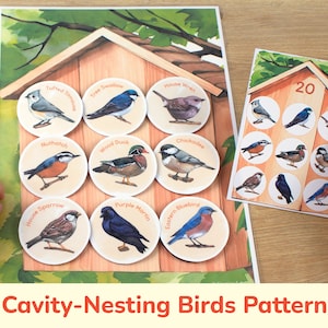 Puede incluir: Un juego educativo colorido con 20 ilustraciones diferentes de pájaros, incluyendo un carbonero crestado, un trepador azul, una golondrina común, un pato de madera, un chochín, un carbonero común, un arrendajo azul, un gorrión común, un martín pescador y un arrendajo azul oriental. El juego está diseñado para ayudar a los niños a aprender sobre las aves que anidan en cavidades.