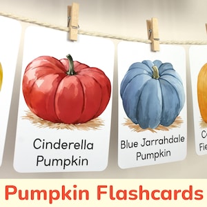 Tarjetas didácticas de calabaza y calabaza: tarjetas visuales de temporada para la educación otoñal. Recurso imprimible para niños pequeños en edad preescolar. Materiales para el aula de educación en el hogar