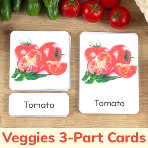 Cartes de légumes en 3 parties. Veggies Photo Activité d'association en trois parties. Activités d'apprentissage préscolaire de légumes pour tout-petits. Cartes de match imprimables