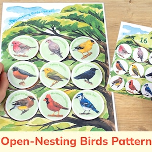 Puede incluir: Un conjunto de 16 ilustraciones de aves de nidificación abierta imprimibles. Las aves se representan en un círculo con fondo blanco y borde verde. Las aves son de diferentes especies, incluyendo un pinzón doméstico, un petirrojo americano, un ampelis cedro, una paloma de luto, un jilguero, un gorrión amarillo, un cuervo americano, un cardenal del norte y un arrendajo azul. El texto "Open-Nesting Birds Pattern" está impreso en la parte inferior de la página.