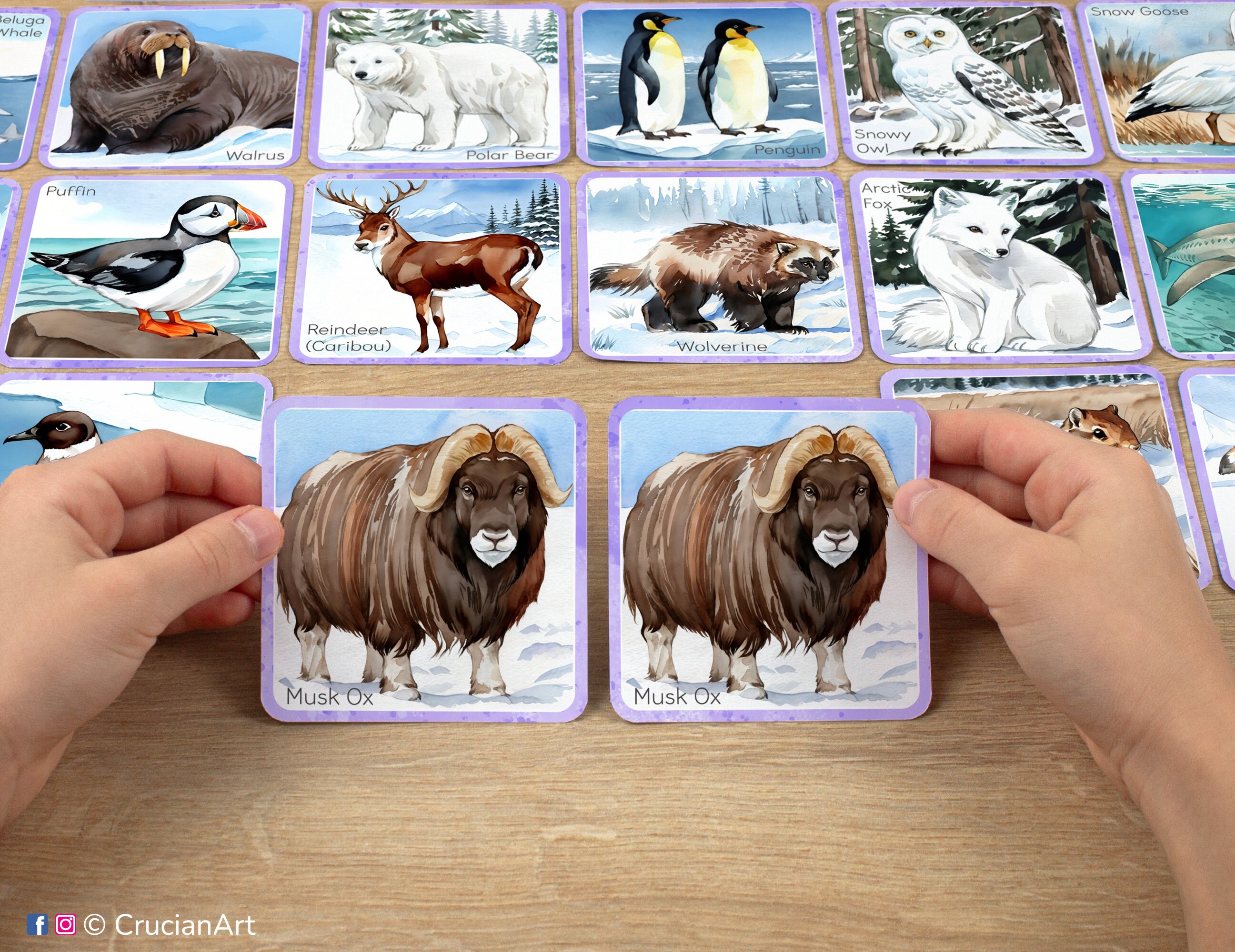 Polar Animals Memory Game: Printable Toddler Preschool Kindergarten ...