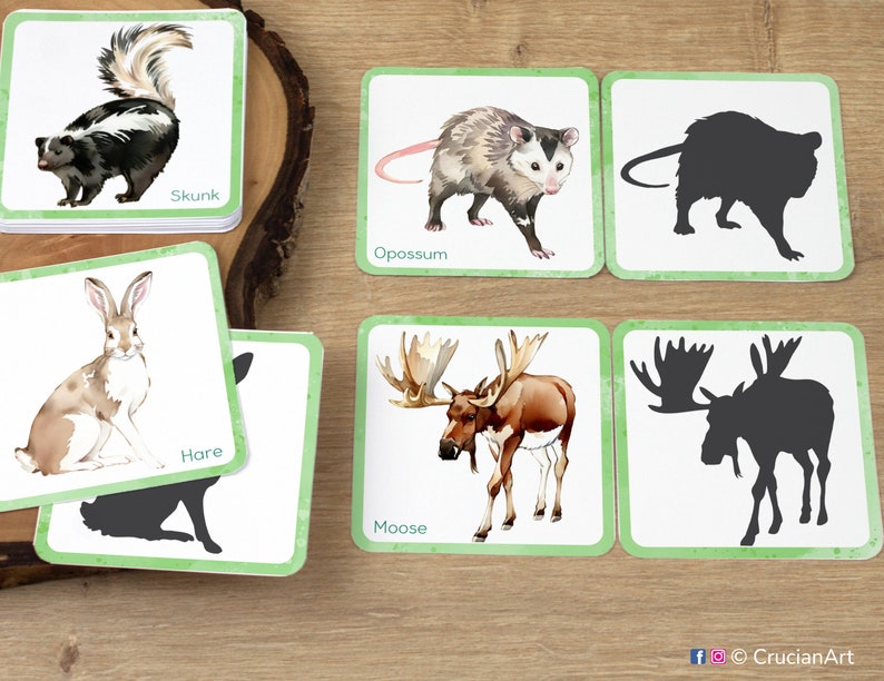 Woodland Animals Shadow Match Cards: printable early learning activity for toddlers. Wildlife of the woods match cards: Moose, Opossum. DIY nature unit preschool classroom educational resource, homeschooling printables. Forest creatures materials.
