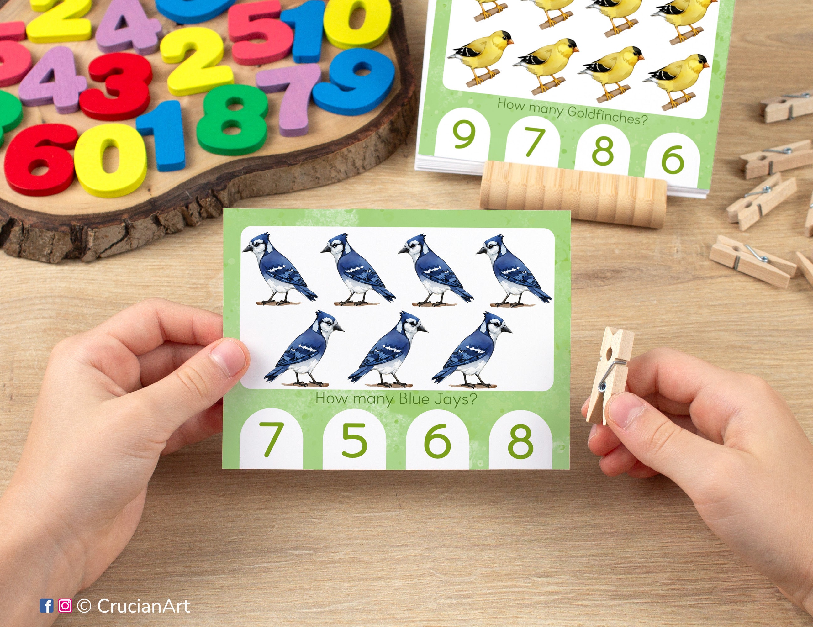 North American Backyard Birds Count & Clip Cards. Printable Homeschool ...