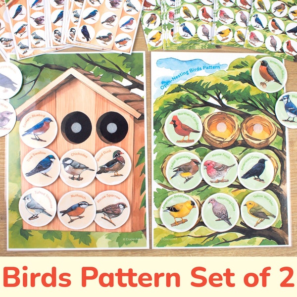 Set of 2: Cavity-Nesting and Open-Nesting North American Birds Pattern Recognition Activity. Printable Learning Resource. Matching Bird Game
