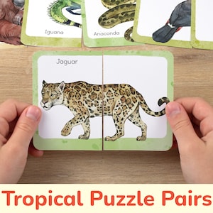 Paires de puzzles d'animaux de la forêt tropicale : cartes de correspondance imprimables. Tout-petit, activité d’apprentissage préscolaire, ressource éducative à la maison.