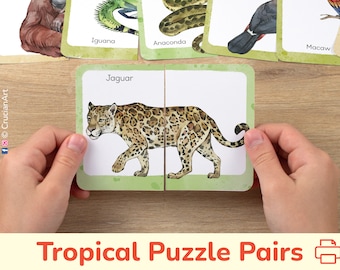 Tropische regenwouddieren puzzelparen: afdrukbare wedstrijdkaarten. Peuter, voorschoolse leeractiviteit, educatief hulpmiddel voor thuisonderwijs.