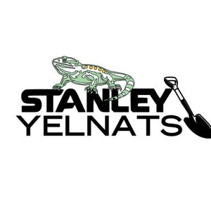 Holes Stanley Lizard