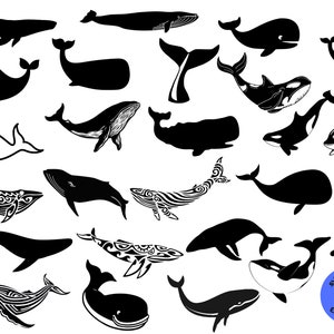 Whale SVG Bundle, Orca svg, Whale png, Whale eps, Whale vector, Whale cut files, Whale svg,Whale clipart,Sea animals svg,Whale tail svg