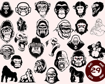 May include: A set of 29 black and white vector illustrations of gorillas and monkeys in various poses. The illustrations are in a cartoon style and feature different expressions, including angry, surprised, and playful.