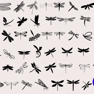 Dragonfly SVG Bundle, Dragonfly clipart,  dragonfly Png, Dragonfly Silhouette, cut files for Cricut, Silhouette, Cameo, Clipart, Insect Svg