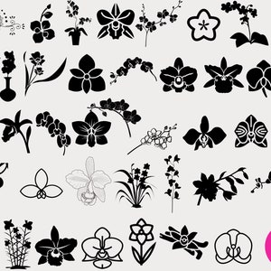 Orchids Flower SVG, Orchid SVG, Flower Svg, Orchid cut file, Floral svg file, Flower Clipart, Orchid branch Svg, silhouette, Cricut