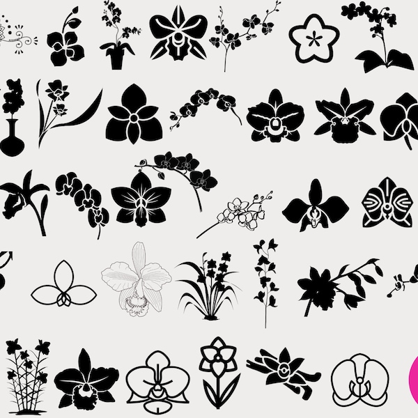 Orchids Flower SVG, Orchid SVG, Flower Svg, Orchid cut file, Floral svg file, Flower Clipart, Orchid branch Svg, silhouette, Cricut