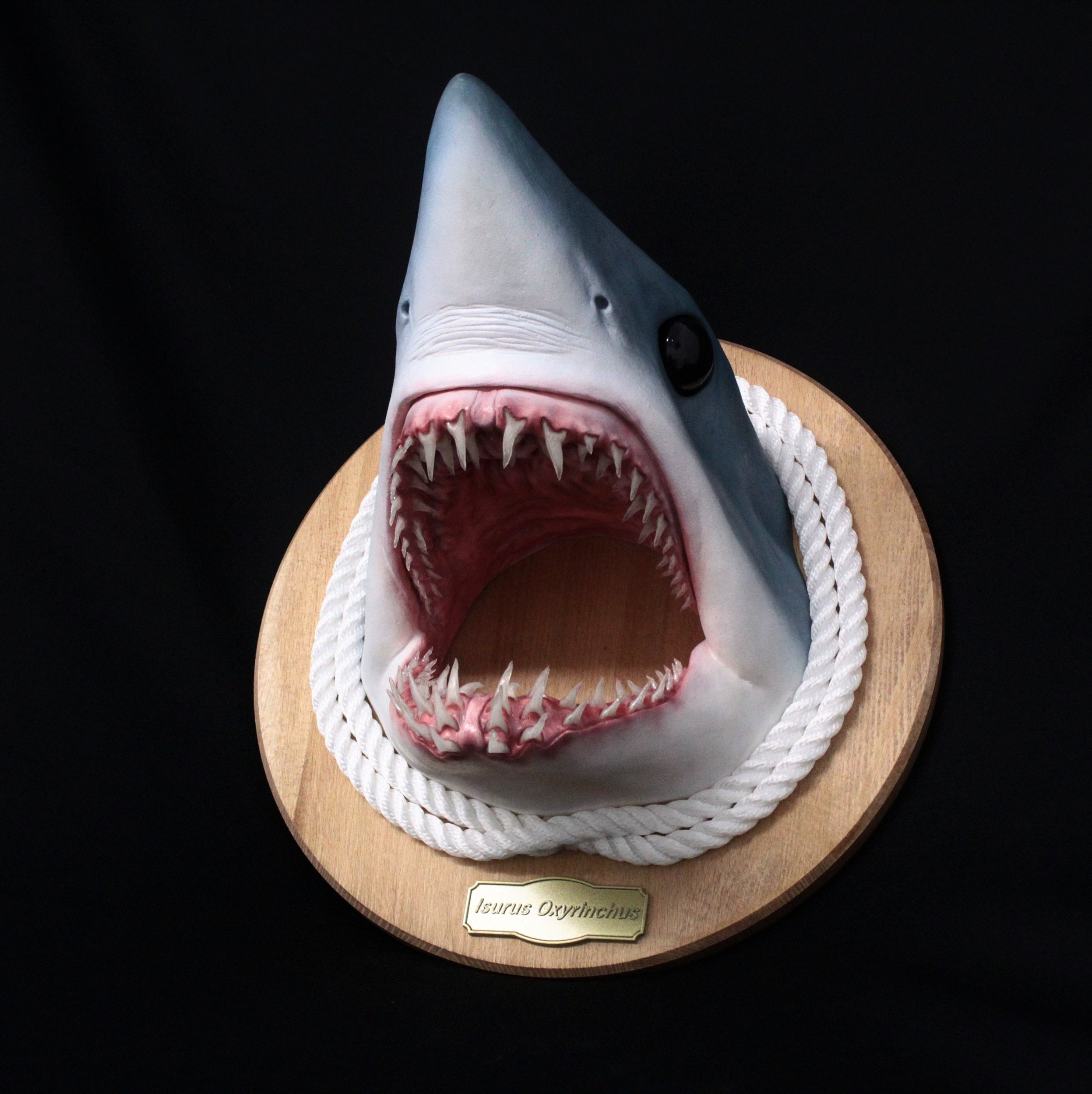 Mako Shark Mount for sale | Only 4 left at -60%