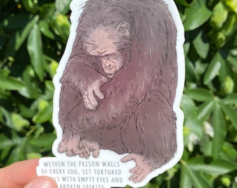 Adesivo vegano recortado em matriz de ativismo pelos direitos dos animais dos chimpanzés