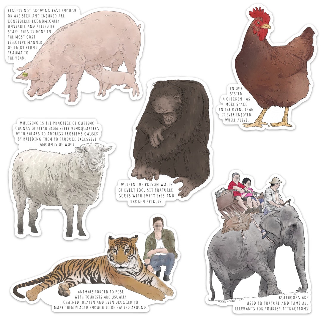 Animal Rights Activism Die Cut Vegan Sticker Pack - Etsy