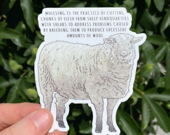 Adesivo vegano recortado de ativismo pelos direitos dos animais de ovelhas
