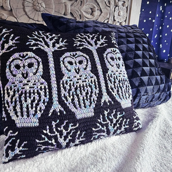 Night Owls Mosaic Crochet Pattern by Sixel Design