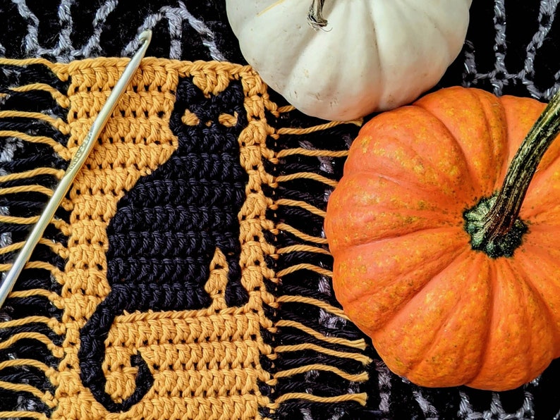 Cat Noir Mosaic Crochet Pattern Chart by Sixel Design image 6