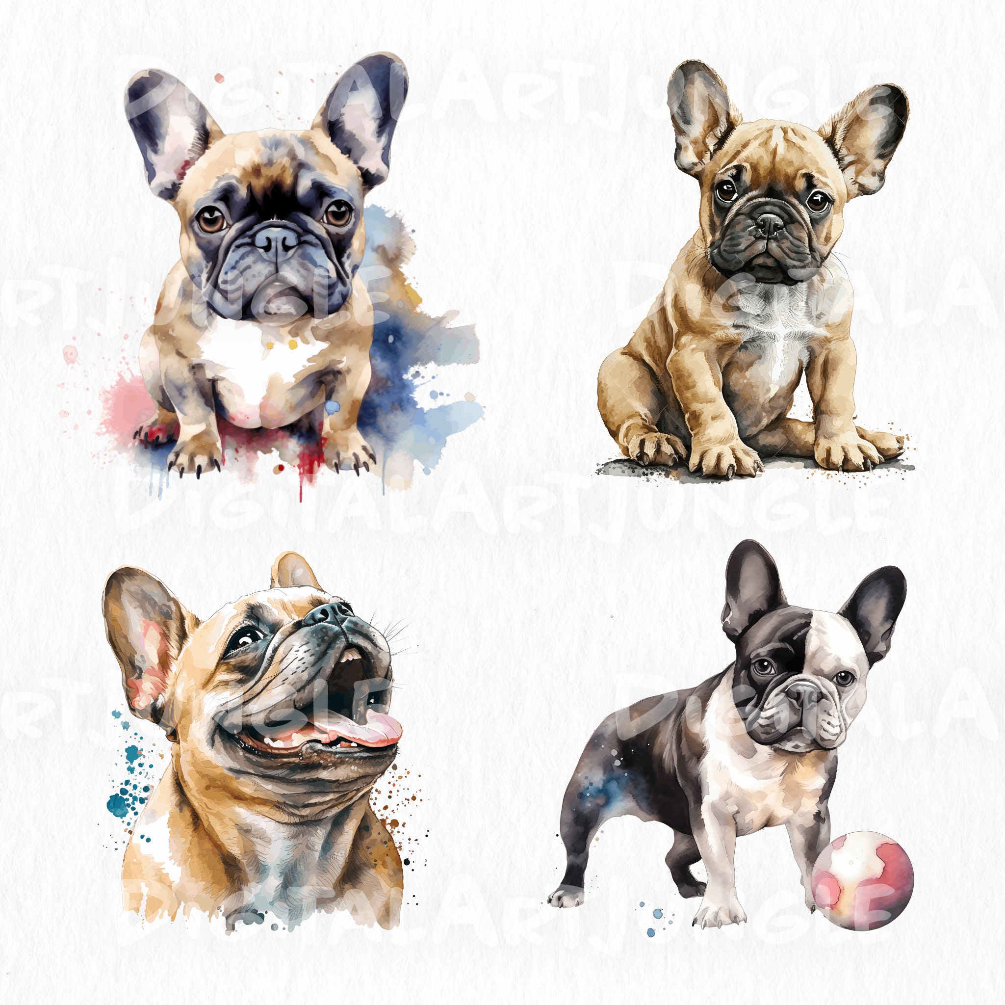 12 Frenchie Pet Dog Watercolor Clipart Collection,bulldog,puppy ...