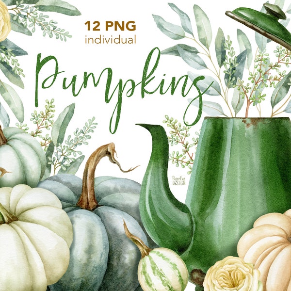 Thanksgiving watercolor clip art. Autumn pumpkins, green and white, fall clipart. High resolution printable watercolour illustration.