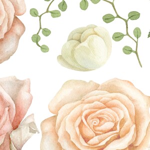 May include: Watercolor illustration of delicate peach and cream roses with green leaves and stems. The roses are arranged in a repeating pattern on a white background.